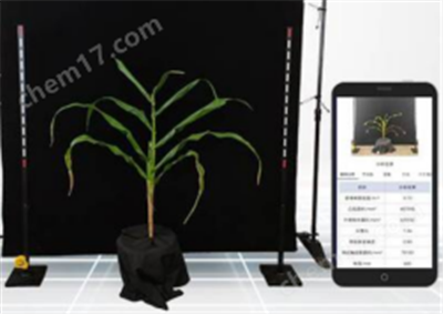 玉米株型檢測系統